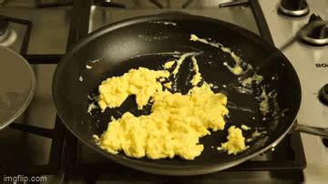 Scrambled Eggs Imgflip