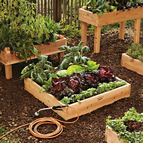 How To Grow An Edible Garden Williams Sonoma Taste