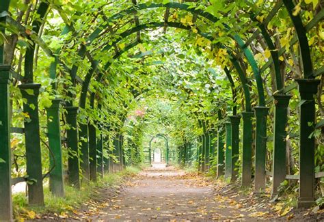 15 Breathtaking Tree Tunnels And Canopies Garden Lovers Club Tree