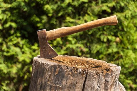 Axe In Stump Axe Ready For Cutting Timberwoodworking Tool Lumberjack