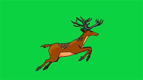 Running Deer Animated Green Screen Video Youtube