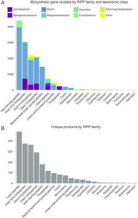 Genome Mining For Ripp Biosynthetic Gene Clusters And Their Unique
