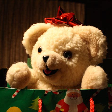 Christmas Teddy Bear Picture | Free Photograph | Photos Public Domain