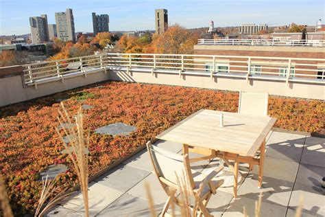 Twin Rooftop Patio — Recover Green Roofs