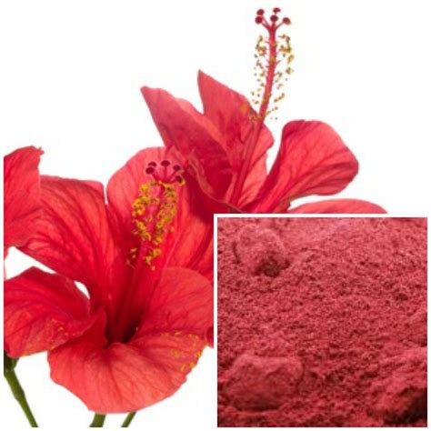Wholesale soap making supplies and ingredients for professional soap makers and weekend hobbyists. Details about Hibiscus powder, organic, soap making ...