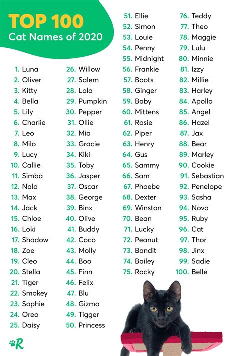 Kitten Names Girl Names For Black Cats Girl Cat Names Cute Animal