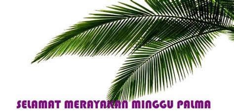 Misa sabtu sore & minggu. MISA HARI MINGGU PALMA (LIVE STREAMING) - GEREJA MACANAN