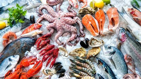 Cuándo Debes Optar Por El Pescado Fresco Y Cuándo Por El Congelado