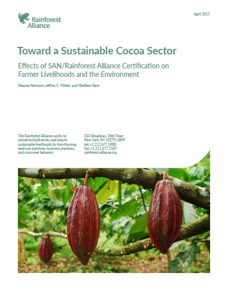 Toward A Sustainable Cocoa Sector Rainforest Alliance