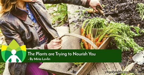 The Plants Are Trying To Nourish You Yoga Health Coaching