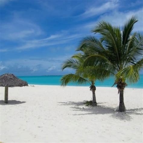 Coco Beach Abaco Bahamas Abaco Bahamas Island Time Beach