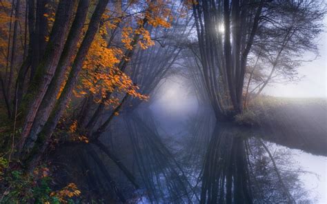 Nature Landscape Reflection Mist Fall Forest River Trees Sunrise Shrubs