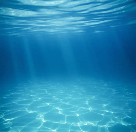 830 100 Bildbanksfoton Bilder Och Royaltyfria Bilder Med Underwater