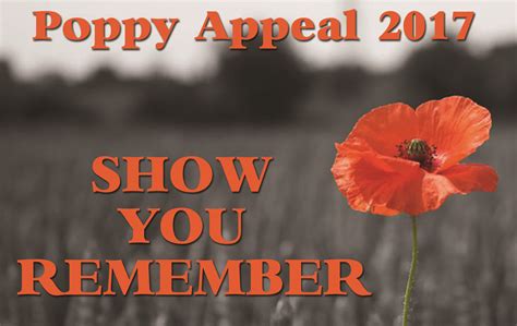 Busy Month For The Rbl With Launch Of Poppy Appeal The Leader Newspaper