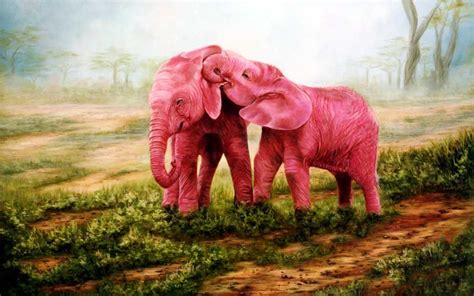 Pink Elephants Wallpapers High Quality Download Free
