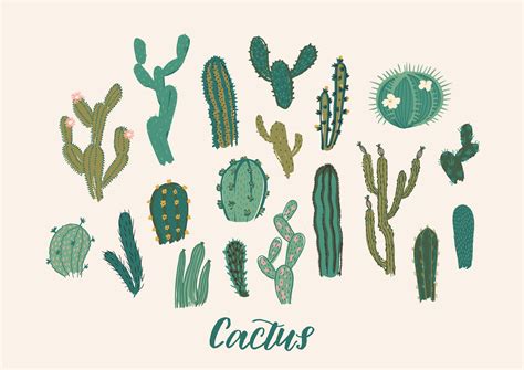 Cactus Collection Set Vector Illustration Design Element 299966