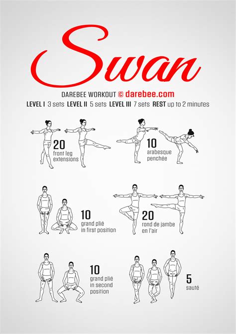 Ballet Swan Workout