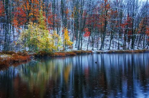 The First Snow Wallpapers High Quality Download Free