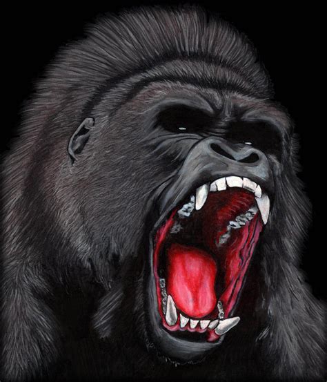 Angry Gorilla Drawing At Getdrawings Free Download
