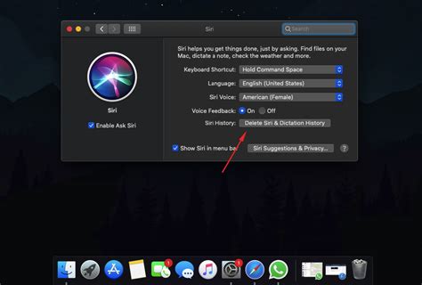 How To Delete Siri History And Data IPhone IPad MacOS Explained