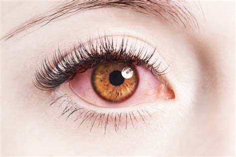 Best Red Eyes Stock Photos Pictures And Royalty Free Images Istock