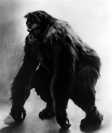 Hollywood Gorilla Men Hairy Horrorthon Halloween Countdown Bongo