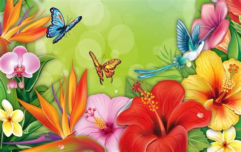 Spring Butterfly Wallpapers Top Free Spring Butterfly