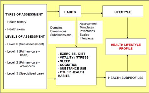 Conceptual Framework Of The Assessment Schema Health Related Habits