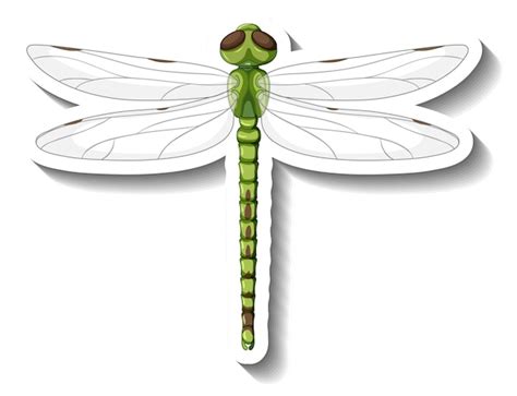 Dragonfly Vector Art Icons And Graphics For Free Download Clip Art
