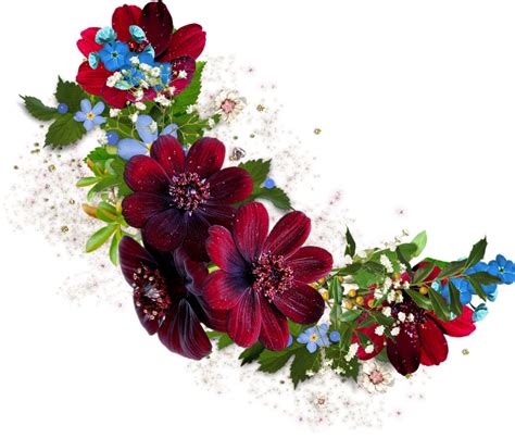 Fleursfloresflowersbloemenpng