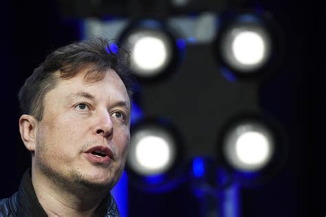Elon Musk Might Bring Back Vine A Predecessor Of Tiktok Shut Down By