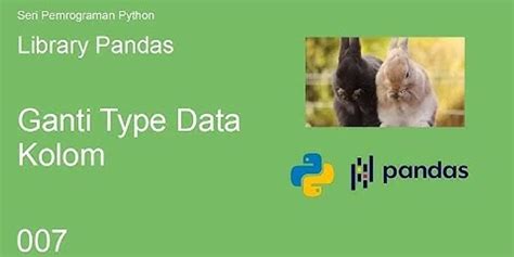 Bagaimana Anda Mengubah Kerangka Data Menjadi Int Dengan Python