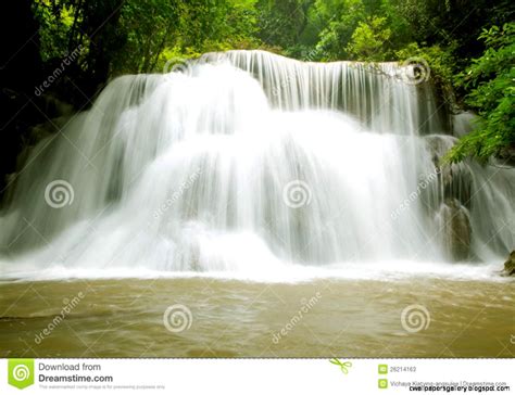 Tropical Rainforest Waterfalls With Animals Wallpapers