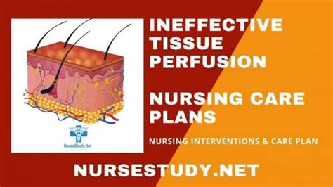 Ineffective Tissue Perfusion Nursing Diagnosis And Nursing Care Plan