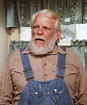 Denver Pyle