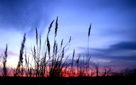 Wallpaper Sunlight Sunset Nature Sky Shadow Field Sunrise