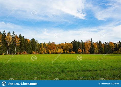 21 Nature Backgrounds Images Green Wallpaper