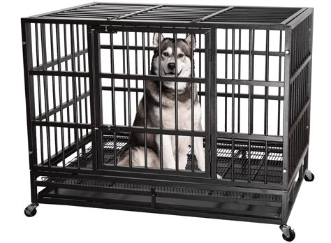 Best Heavy Duty Dog Crates The Top Heavy Duty Crates For Large Dogs