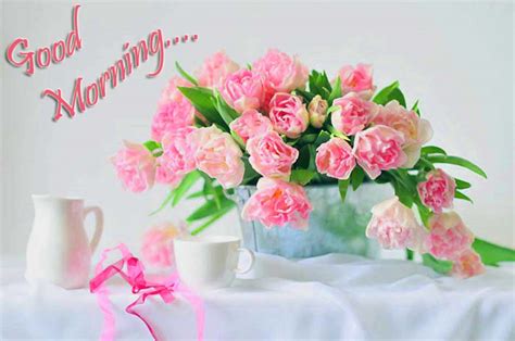 Lovely And Beautiful Good Morning Wallpapers