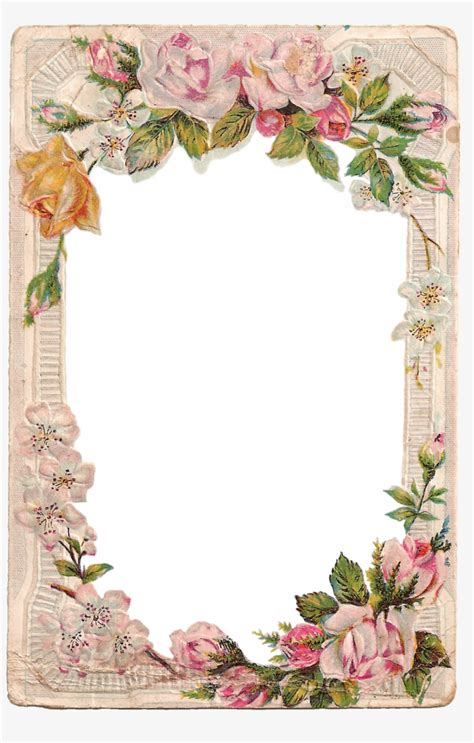 Rose Frame Flower Frame Png Borders And Frames Frame Flower Vintage Frame Png Png Image