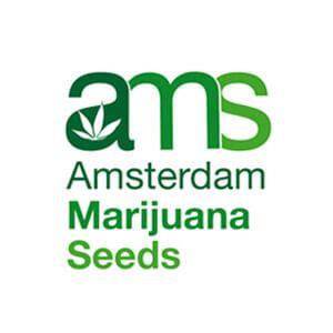 The origin of all pot seeds on dutch seeds shop is provided in the strain description. Top 10 Best Seed Bank Online That Ships to USA - Reviews 2020