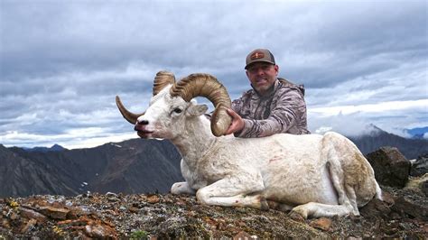 Solo Hntr 103 Alaska Dall Sheep Part 2 Season 10 Youtube