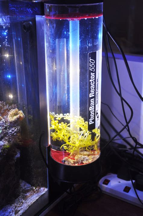 This simple diy does a fantastic job of growing chaeto and helping remove excess nutrients from your reef. Fluidized reactor refugium - Marine Aquarium Equipment ...