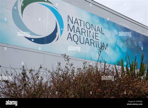 National Marine Aquarium Plymouth Devon Stock Photo Alamy