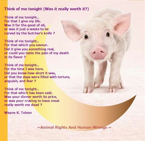 Piglets Poem