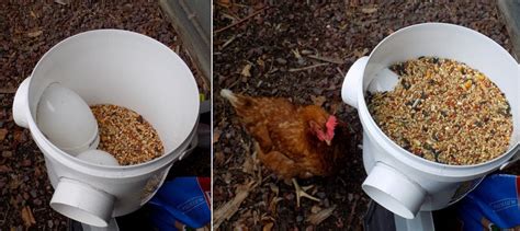 Are you looking for a way to reduce waste when feeding your chickens? DIY Chicken Feeder NO MESS Bulk Cheap & Easy to Do! | Home Design, Garden & Architecture Blog ...