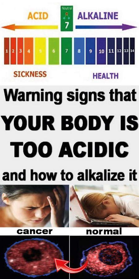 Warning Signs Your Body Is To Acidic And The Best Way To Alkalize It Psychologicalhealth Pw