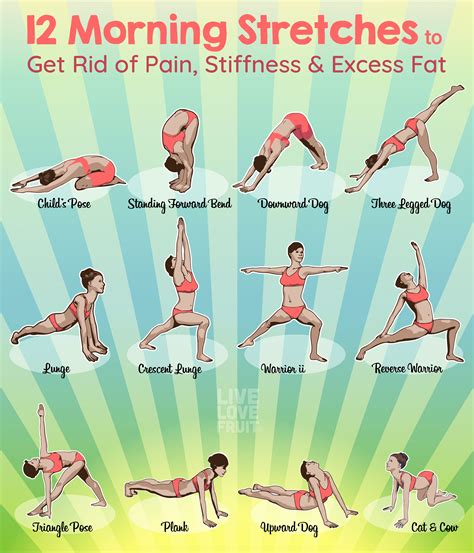 12 Morning Stretches To Help You Get Rid Of Pain Stiffness And Extra Weight Yoga Routine