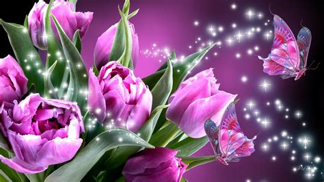 Tulips And Butterflies Hd Wallpaper Background Image