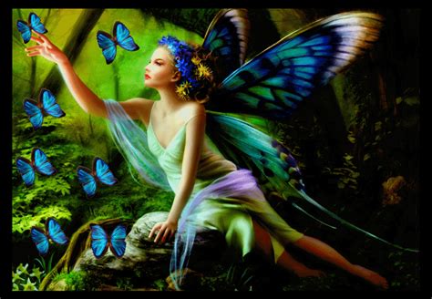 butterfly fairy animated fairies photo 40189463 fanpop